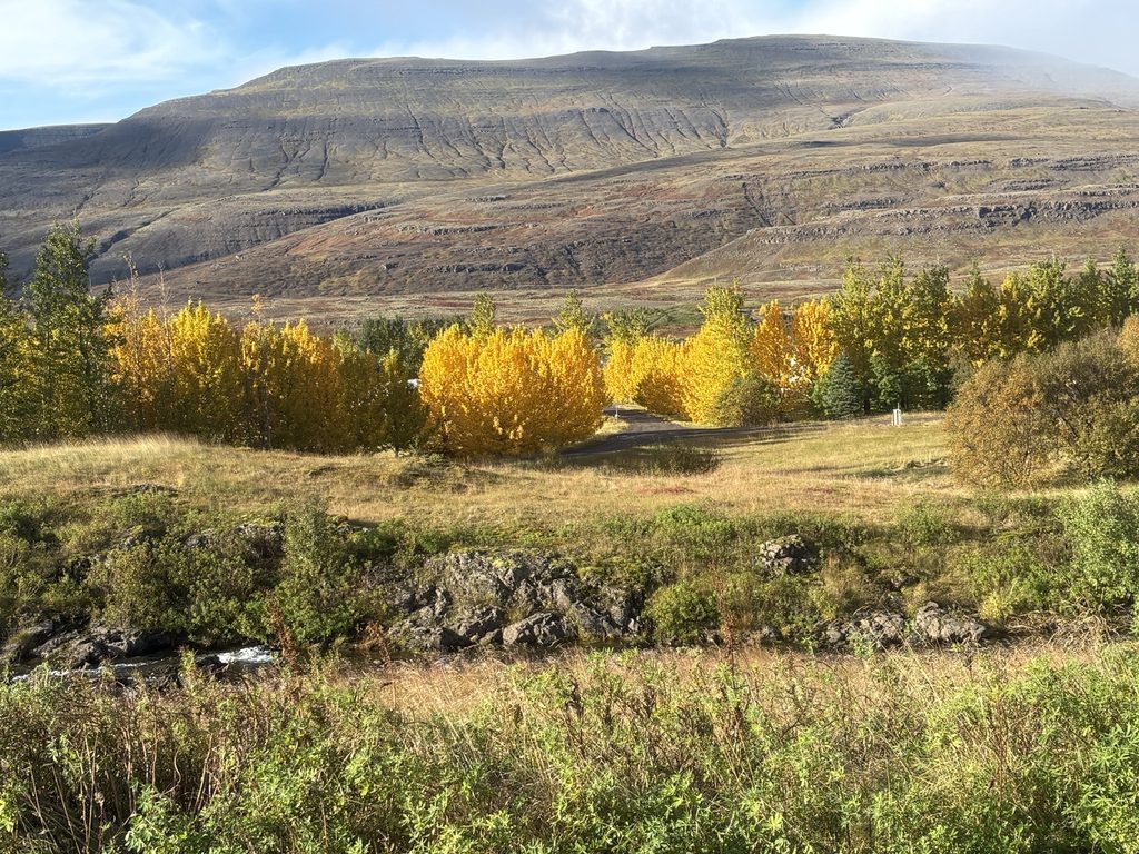 Haustlandslag með gulum trjám, fjalli í bakgrunni og læk í forgrunni.